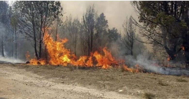Incendio_alpa_Corral