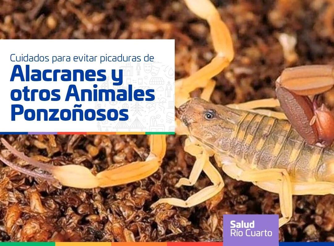 Alacranes