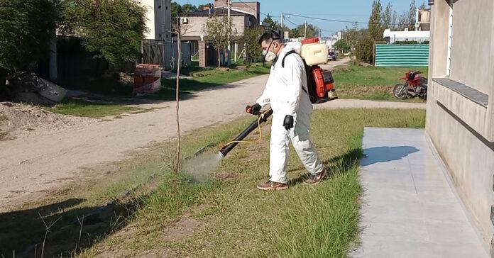 Fumigacion_Higueras