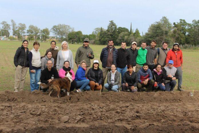 Plantacion_Campo