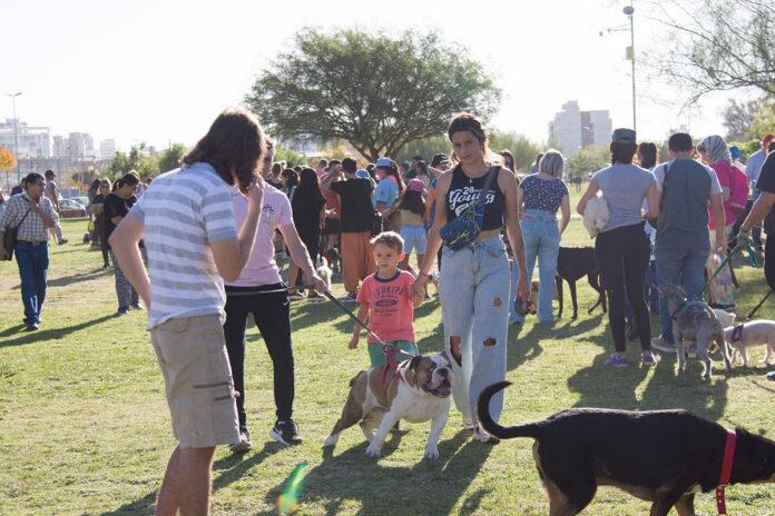 Feria_Adopciones