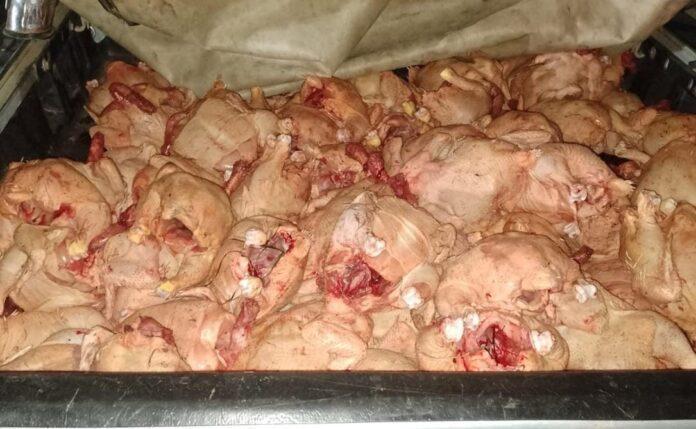 Pollos_Faenados