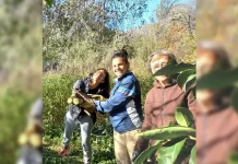 «Leña solidaria» en la reserva El Espinal