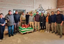 Donación de más 12 toneladas de alimentos