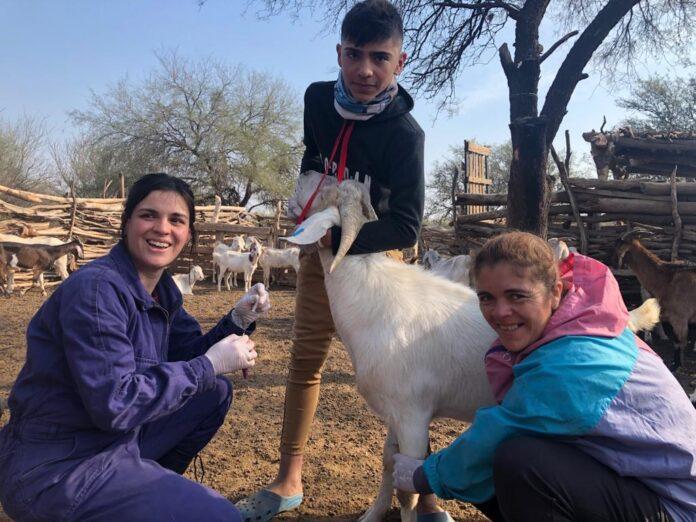 Deteccion_Zoonosis