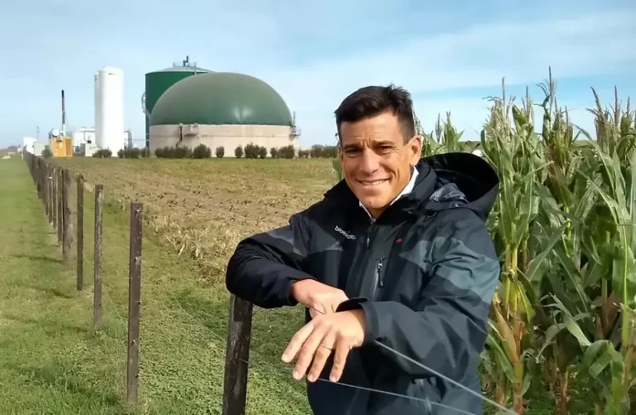 DiBella