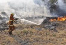 Extinguieron el fuego en Alpa Corral