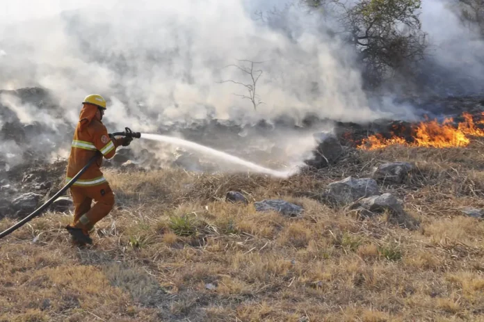 Incendio Alpa Corral