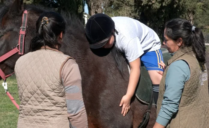 Equinoterapia