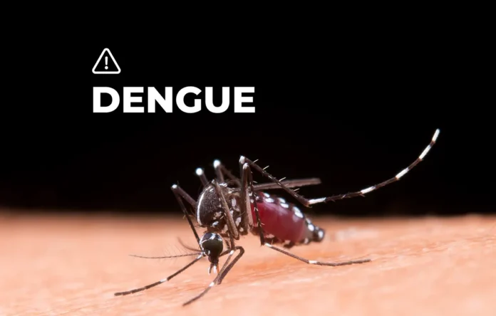 Alerta - Dengue