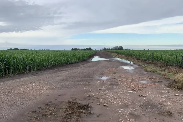 Campo - Tormenta