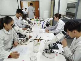 Convocatoria Docente en Ciencias Exactas