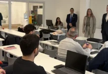 Negocios digitales e innovación para empresas